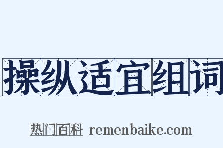 操纵适宜组词是什么意思的图片
